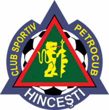 FC Petrocub Hincesti Voetbal