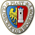Piast Gliwice Voetbal