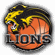 BK Lions J. Hradec Basketbal