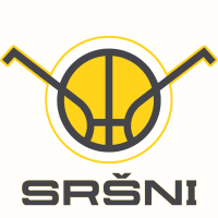 Sršni Pisek Basketbal