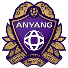 FC Anyang Voetbal