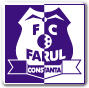 Farul Constanta Voetbal