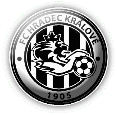 Logo týmu