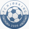 Vendsyssel FF Voetbal