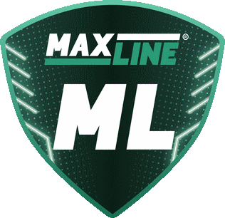 FC Maxline Vitebsk Voetbal
