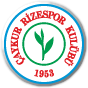 Çaykur Rizespor Voetbal