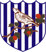 West Bromwich Albion Voetbal