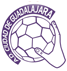 BM Guadalajara Handbal