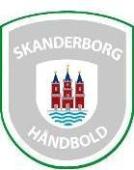 Skanderborg Handbal