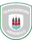 Skanderborg Handbal