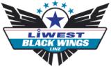 Black Wings Linz IJshockey