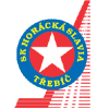 Horácká Slavia Třebíč IJshockey