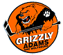 Grizzly Wolfsburg IJshockey